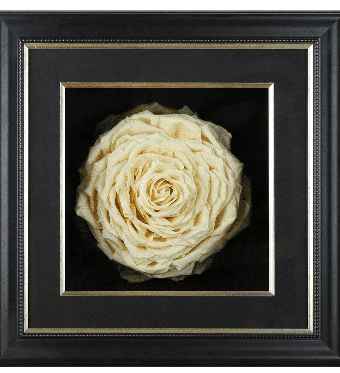shadowboxes 4 Shadowbox bird's eye view style showing the bloom design from above